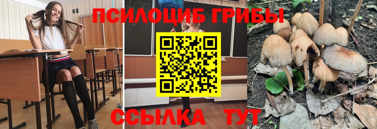 Марихуана  Кокаин  ЭКСТАЗИ  Меф   Гашиш  Каннабис  Вход с VPN  Медногорск  Амфетамин  