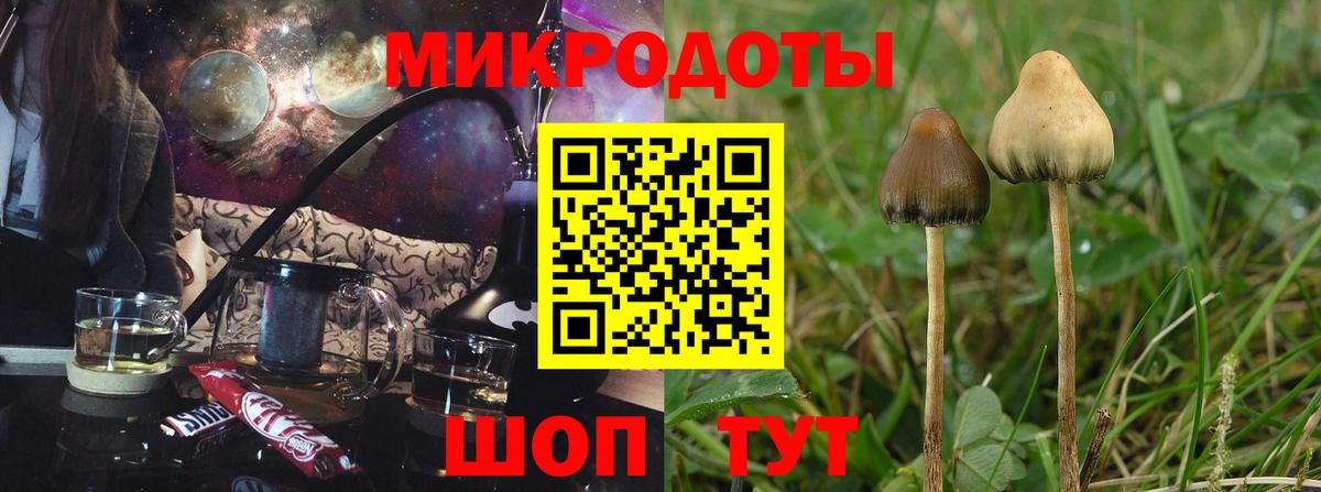 Медногорск  Галлюциногенные грибы Psilocybine cubensis  где найти наркотики  Галлюциногенные грибы Magic Shrooms  Вход с VPN 